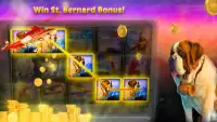 Top Climber - Slot Machine Game Screen Shot 3