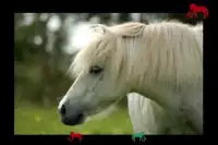 my baby loves the ponies Screen Shot 4