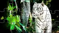 Biały Tygrys Puzzle Gry Screen Shot 2