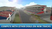 Dog Racing Tournament Sim 2 Screen Shot 1