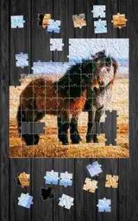 Horses Jigsaw Puzzle Game Screen Shot 5