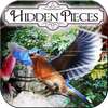Hidden Pieces: Aviary