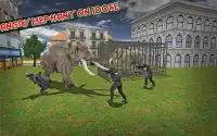 éléphant ville rampage Screen Shot 12