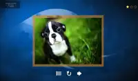 Puppy Dog Jigsaw Puzzles Screen Shot 16