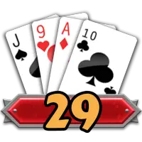 29 Card Game Challenge Screen Shot 3