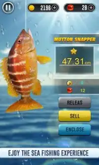Fish Live Simulator 2019 - Fishing Ace Pro Pro Screen Shot 1