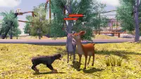 Rottweiler Dog Simulator Screen Shot 23