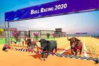 Angry Bull City Rampage: Wild Animal Attack Games Screen Shot 2