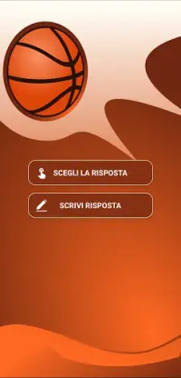 Quiz sul logo del basket Screen Shot 3