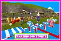 犬のスタントsim 3D Screen Shot 6