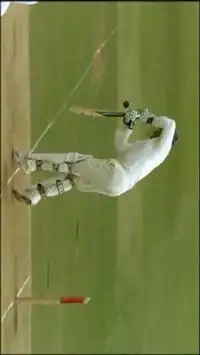 Daily Cricket Highlights Screen Shot 0