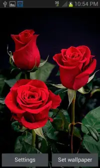 Beautiful Roses LWP Screen Shot 0