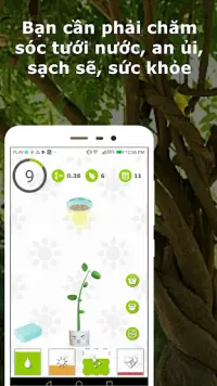 Cây may mắn - trồng cây của riêng bạn Screen Shot 0