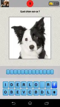 Quizz Race de chien Screen Shot 3