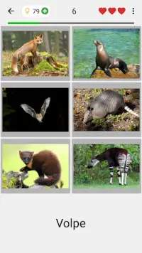 Animali: I mammiferi e uccelli Screen Shot 1
