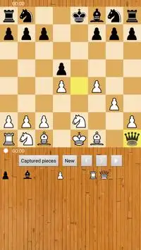 шахматы бесплатно Screen Shot 2