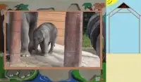 Real Animal Puzzle Screen Shot 6