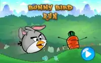 Bunny Bird Run Screen Shot 0