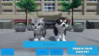 Cute Pocket Cat And Puppy 3D Screen Shot 0