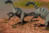 Puzzles Jurassic Park Tiere 🧩🦖🧩🦕️🧩 Screen Shot 4