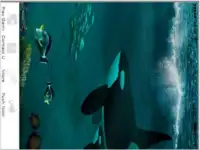 Play Smart Fish Sea Treasure Screen Shot 3