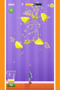 Fruit Shooter - Fruit Cutting Game Screen Shot 5