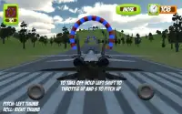 3D Flight Simulator - Rings Screen Shot 1