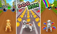 Dog Run Pet Runner Dog Game Screen Shot 5