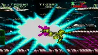 The FighterToads - Return from Arcade Screen Shot 0