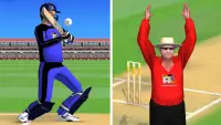 Smashing Cricket: cricket game Screen Shot 5