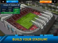 Dream League Soccer Screen Shot 9