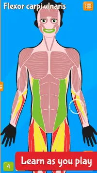 Anatomix - Human Anatomy Screen Shot 1