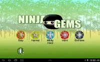Ninja Gems Screen Shot 4