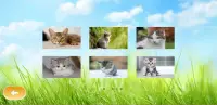 Cat puzzle game 2020 Screen Shot 0