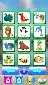 Animal sounds - Kids learn Screen Shot 6