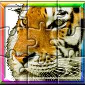 Mammals by Picture Guess Quiz