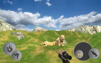 Wild Animal Hunting - 3D Sniper Game Screen Shot 4
