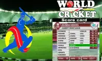 World Cricket Screen Shot 3