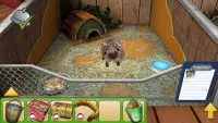 Pet World - приют для животных Screen Shot 6