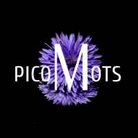 PicoMots