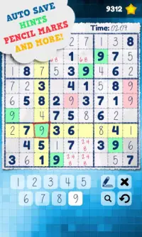 Sudoku Puzzle Screen Shot 1