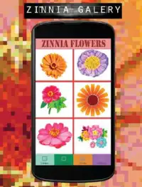 Zinnia Flowers Color By Number-Pixel Art Screen Shot 3