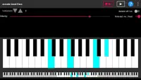 Simple piano with recorder Screen Shot 5