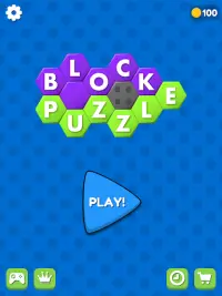 Block Puzzle: 2020 Screen Shot 16