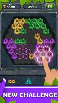 Bloccare Fantasia Puzzle: Colorato Bloccare Gioco Screen Shot 4