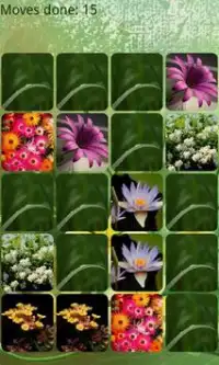 Flowers Memory HD Screen Shot 2