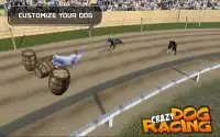 Crazy Dog Racing Screen Shot 1