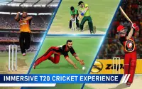T20 Cricket Champions 3D Screen Shot 11