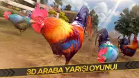 Horoz Dövüşü - Kavga 3D Screen Shot 3