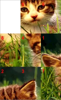 kitty Puzzle Screen Shot 4